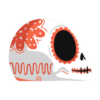 Calavera Mexicana PNG